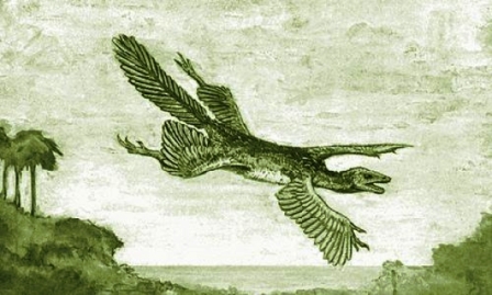 An image drawn in 1915 by naturalist William Beebe suggests a hypothetical view of what early birds may have looked like. 